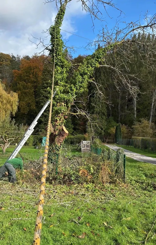 Dégagement de la végétation, branchages regroupés pour l'évacuation