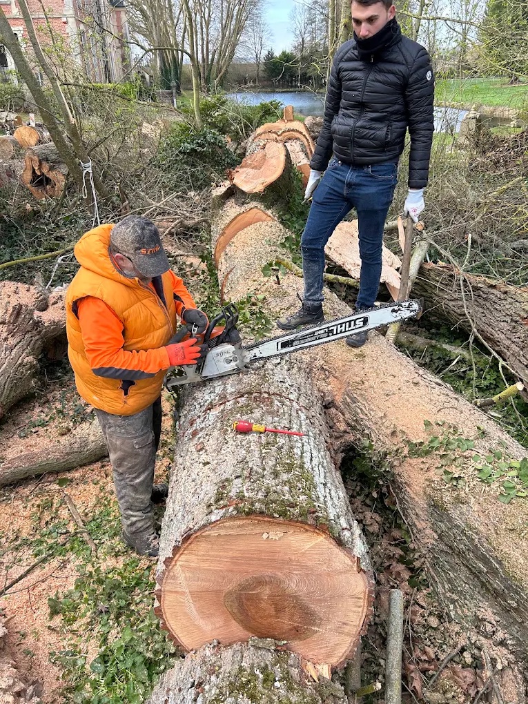 Grumes façonnées en bord de parcelle, prêtes pour la sortie de bois