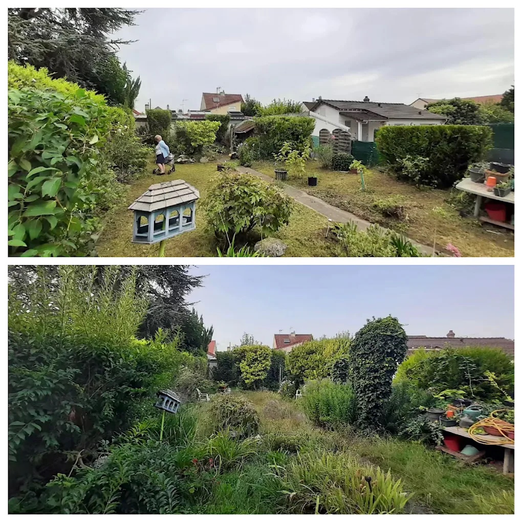 Jardin envahi par la végétation avant remise en état