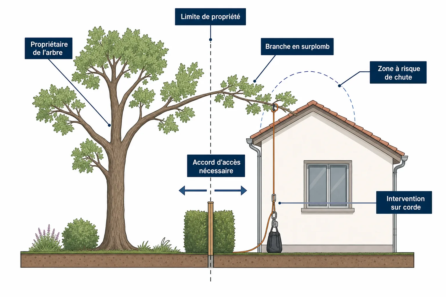 Schéma montrant une branche d'arbre en surplomb au-dessus du toit voisin et les zones de responsabilité entre les deux parcelles